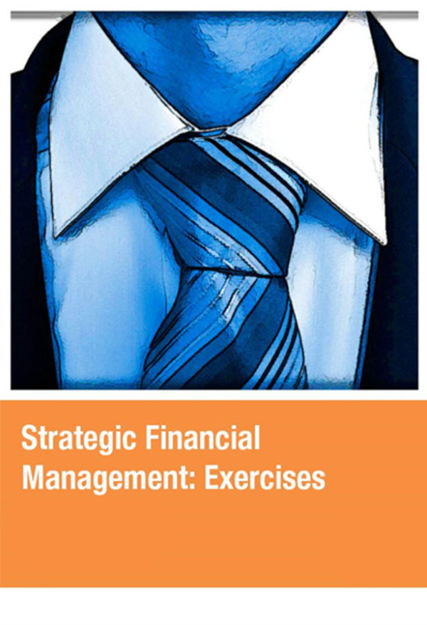 Stradegic Financial Management Excercises – Bild 2